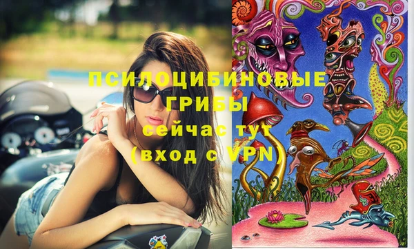 амфетамин Алексин