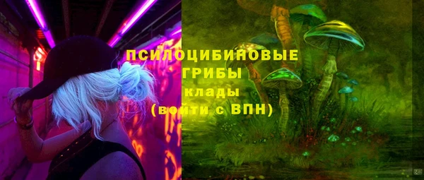 spice Абаза