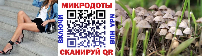 Галлюциногенные грибы Psilocybine cubensis  Ипатово 