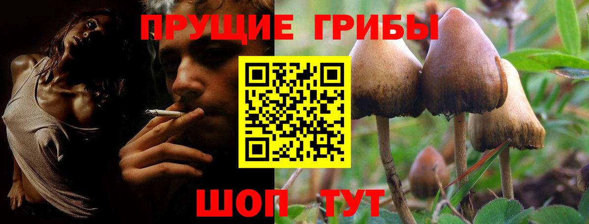 Галлюциногенные грибы Psilocybine cubensis Ипатово